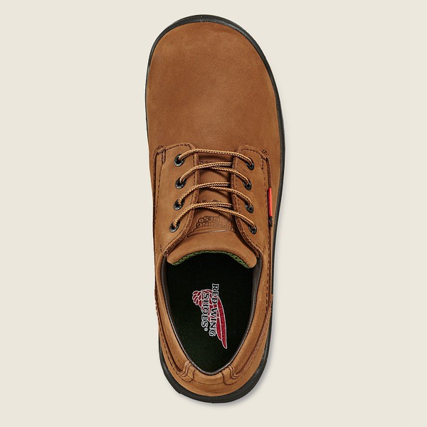 Oxford Red Wing - King Toe® - Safety Toe - Marron - Homme 182TAHBQR